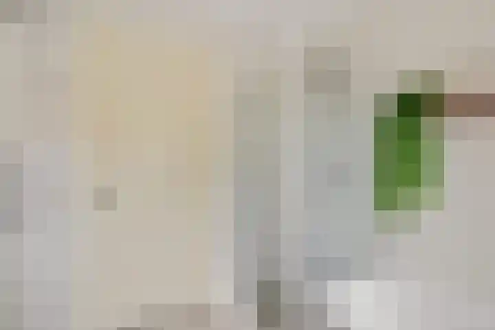 Hazzelnútstrjitte 2 Stiens thumbnail 30