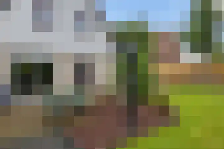 Hazzelnútstrjitte 2 Stiens thumbnail 34
