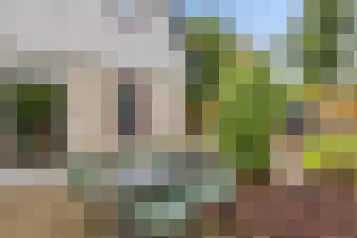 Hazzelnútstrjitte 2 Stiens thumbnail 35