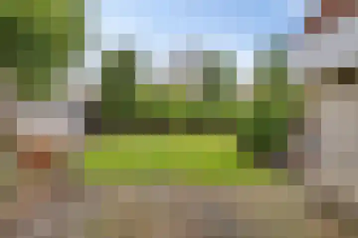Hazzelnútstrjitte 2 Stiens thumbnail 36