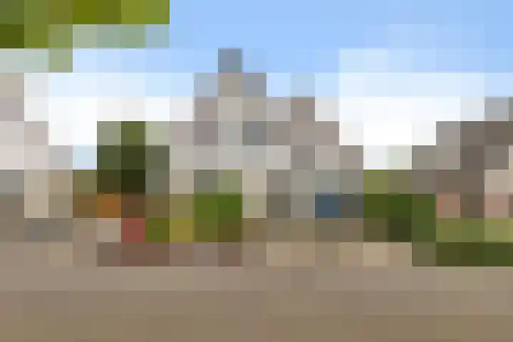 Hazzelnútstrjitte 2 Stiens thumbnail 4