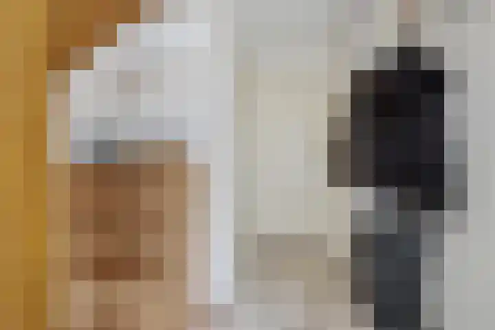 Hazzelnútstrjitte 2 Stiens thumbnail 5