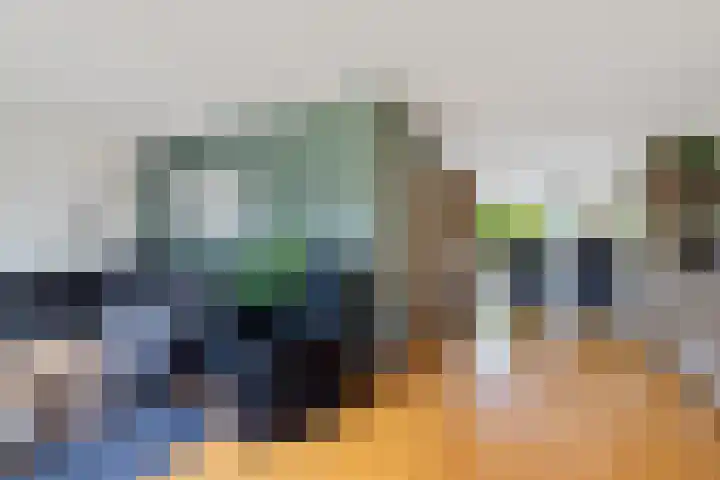Hazzelnútstrjitte 2 Stiens thumbnail 7