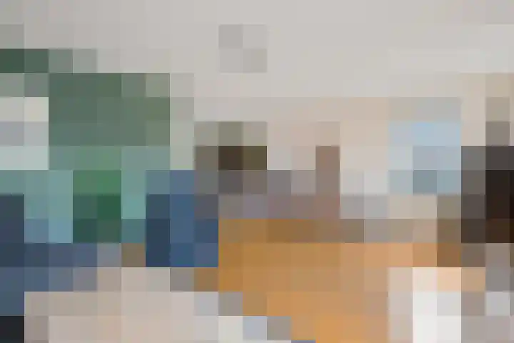 Hazzelnútstrjitte 2 Stiens thumbnail 9