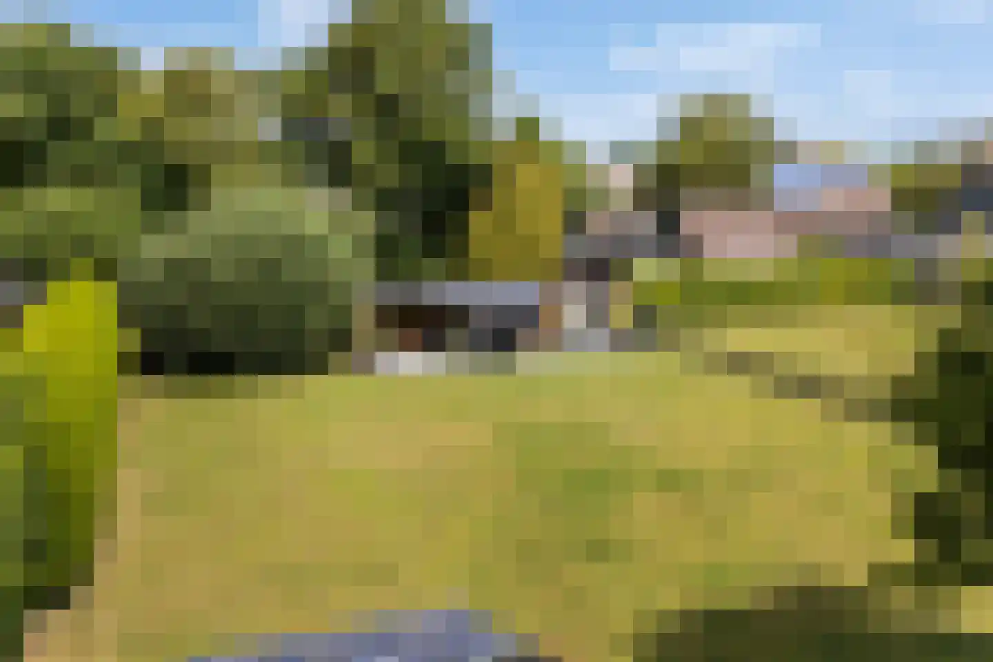 Headyk 19 Dronryp thumbnail 10