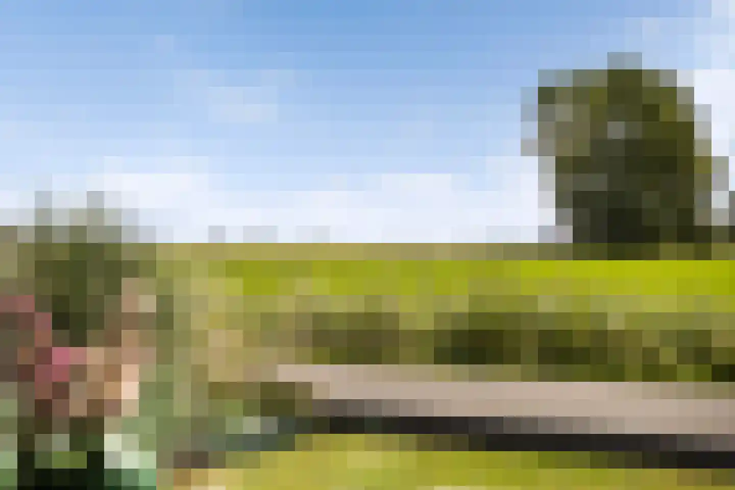 Headyk 19 Dronryp thumbnail 14