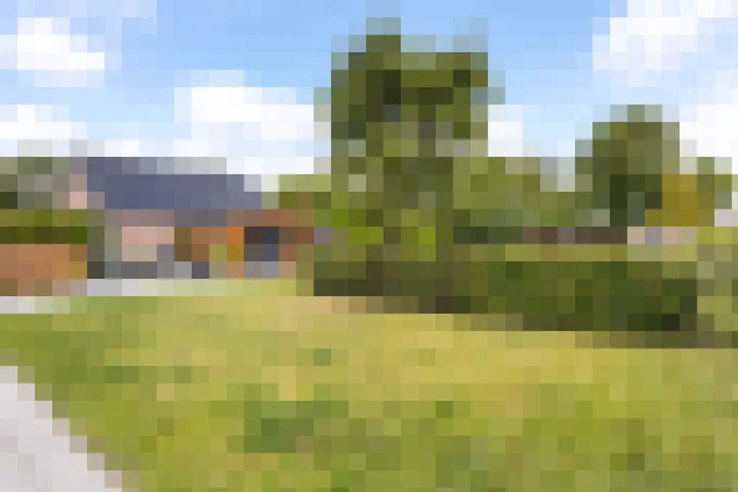 Headyk 19 Dronryp thumbnail 22