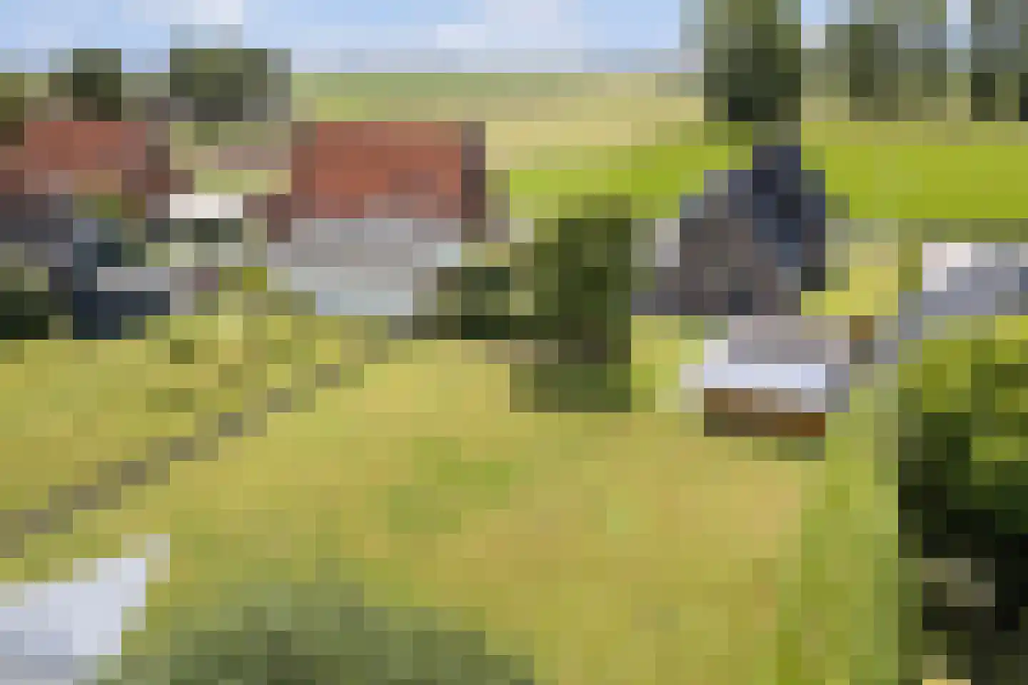 Headyk 19 Dronryp foto 3