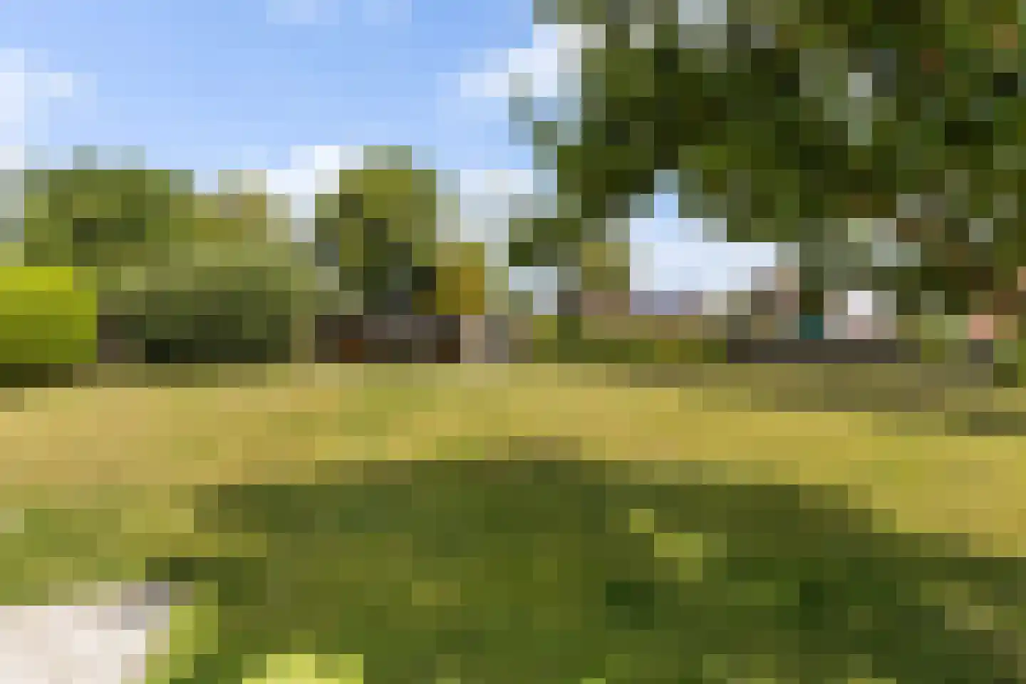 Headyk 19 Dronryp thumbnail 4