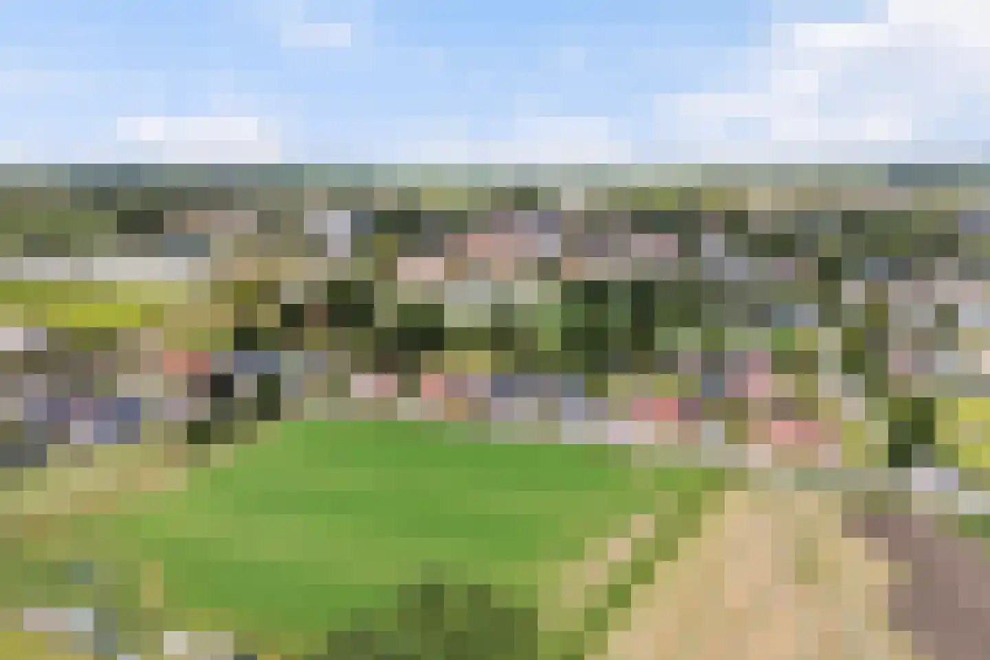Headyk 19 Dronryp thumbnail 5
