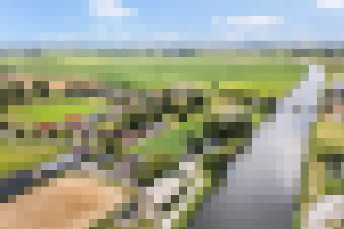 Headyk 19 Dronryp thumbnail 7