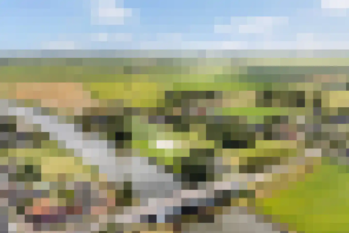 Headyk 19 Dronryp thumbnail 8