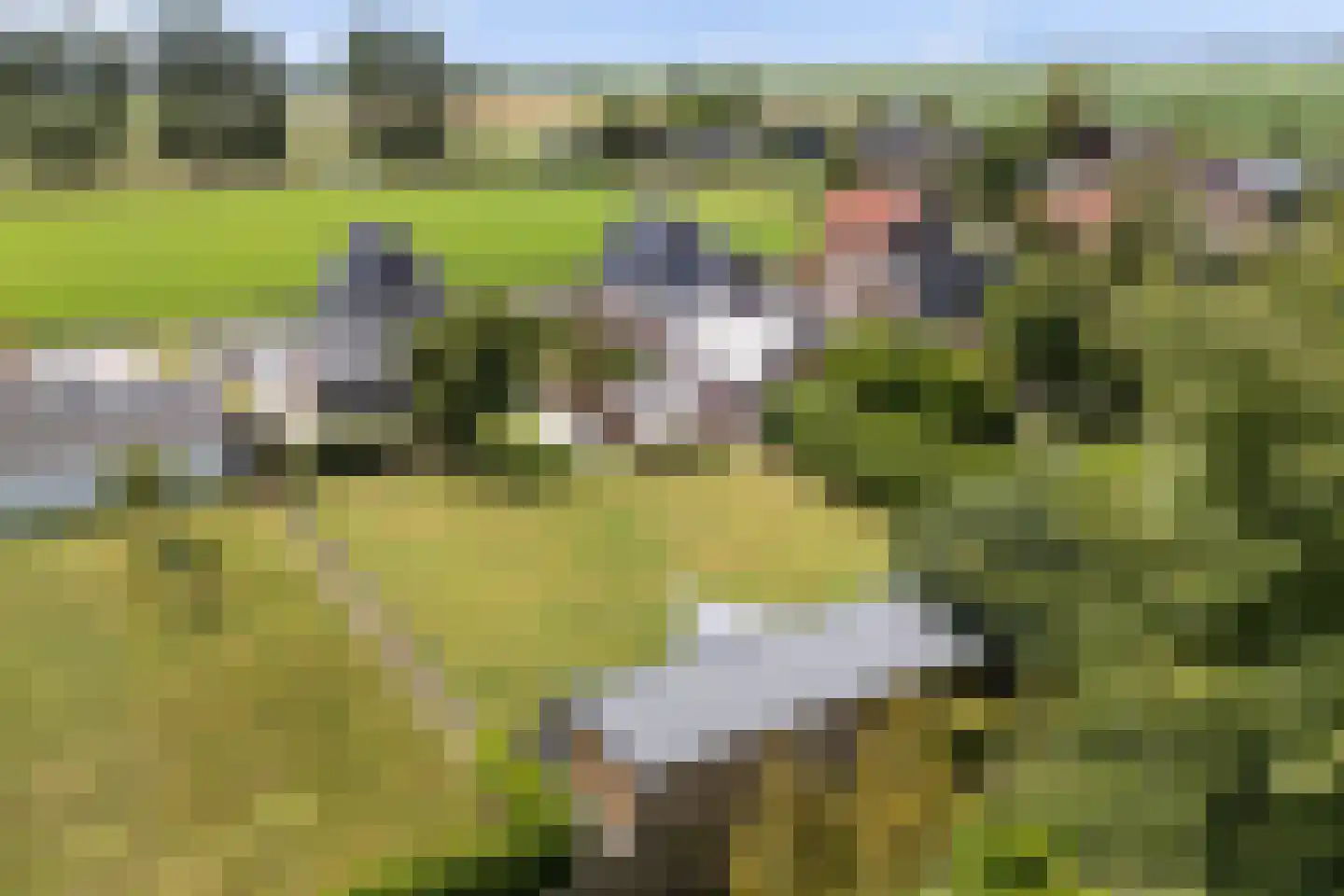 Headyk 19 Dronryp thumbnail 9