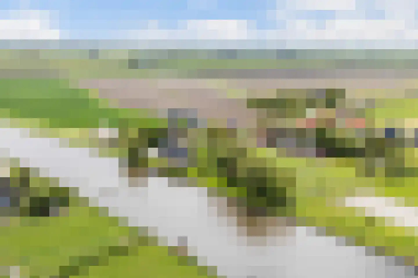Headyk 39 Dronryp thumbnail 4