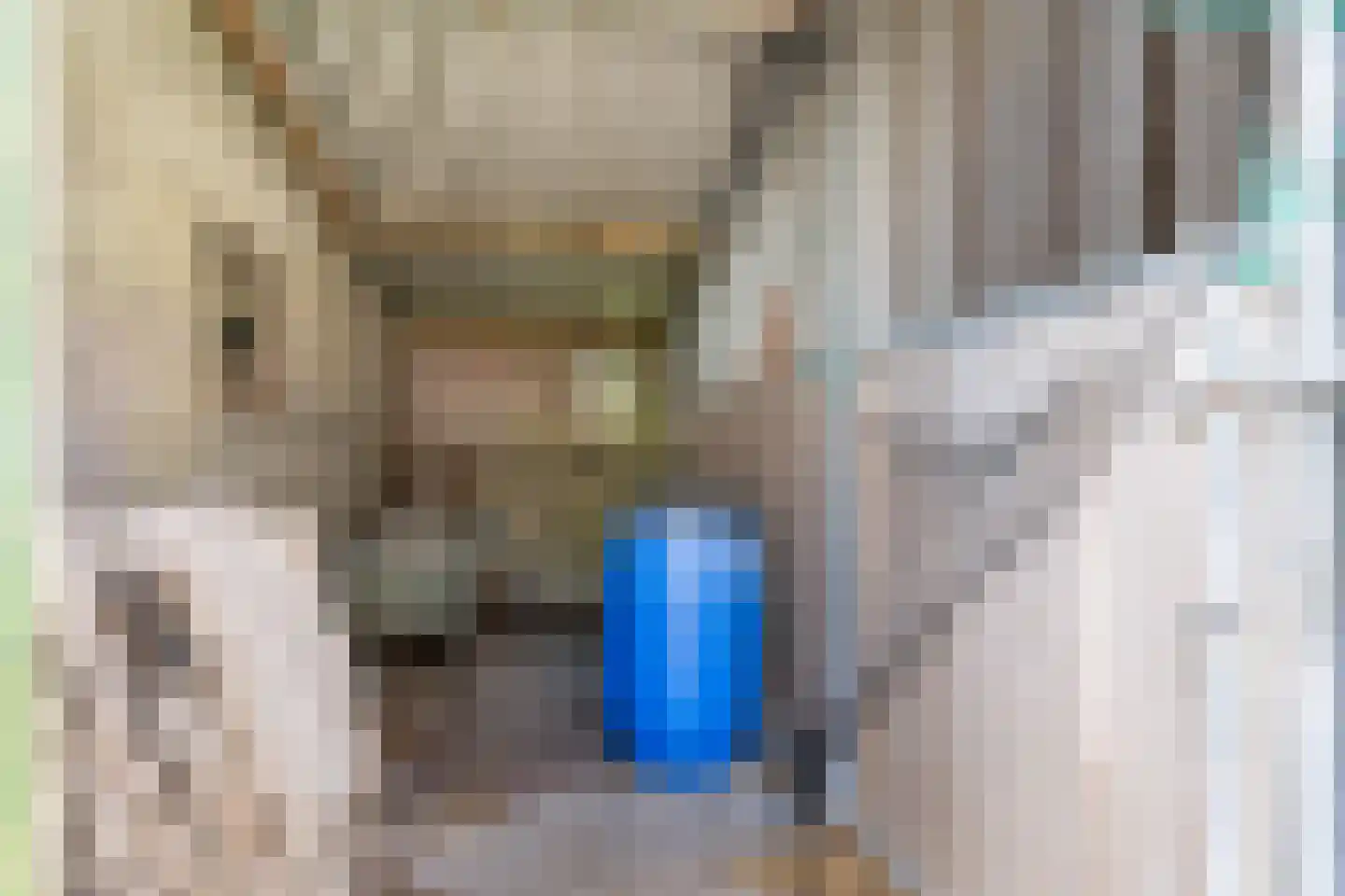 Headyk 39 Dronryp thumbnail 49