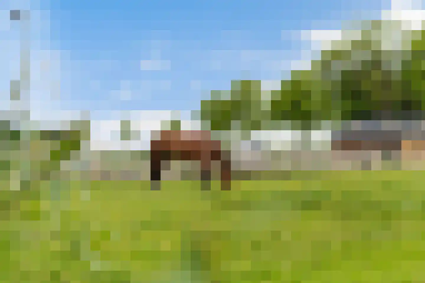 Headyk 39 Dronryp thumbnail 55