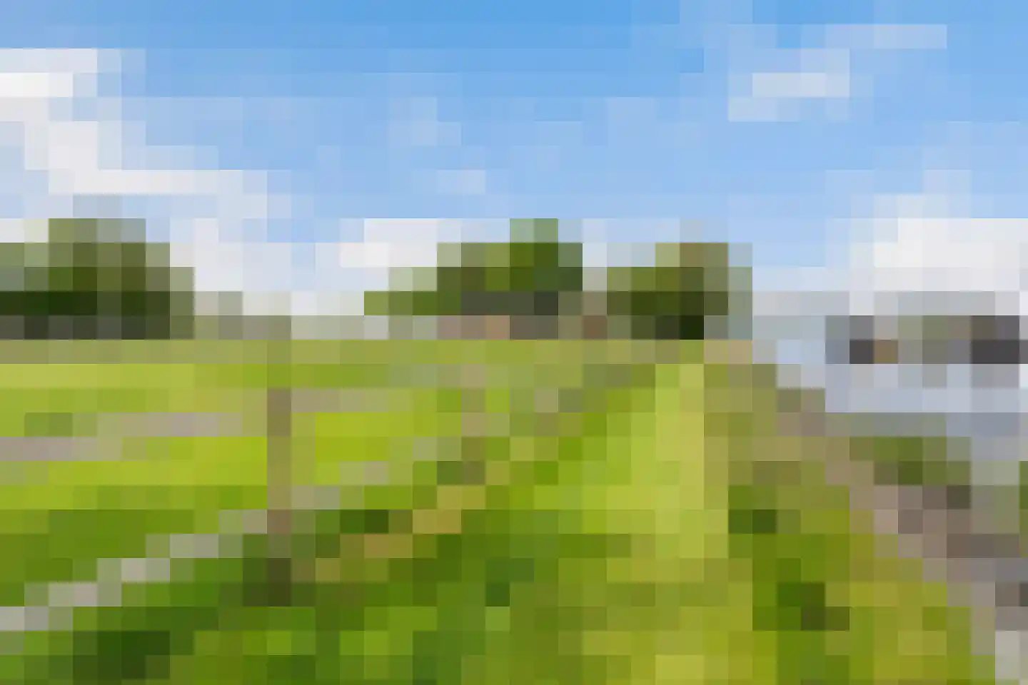 Headyk 39 Dronryp thumbnail 56