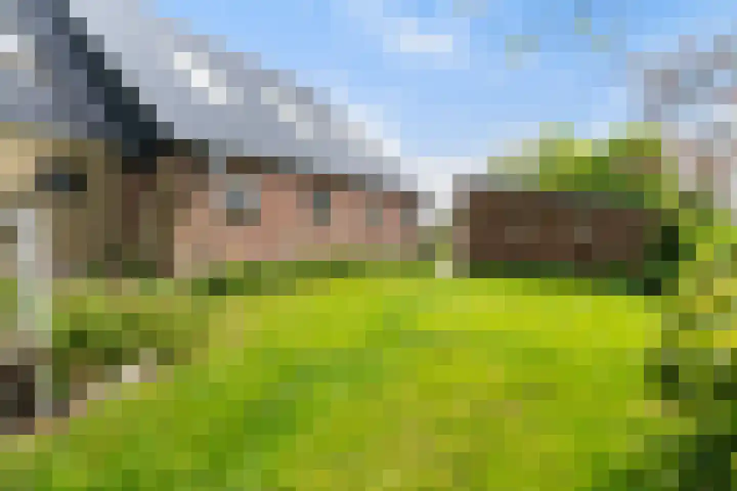 Headyk 39 Dronryp thumbnail 60