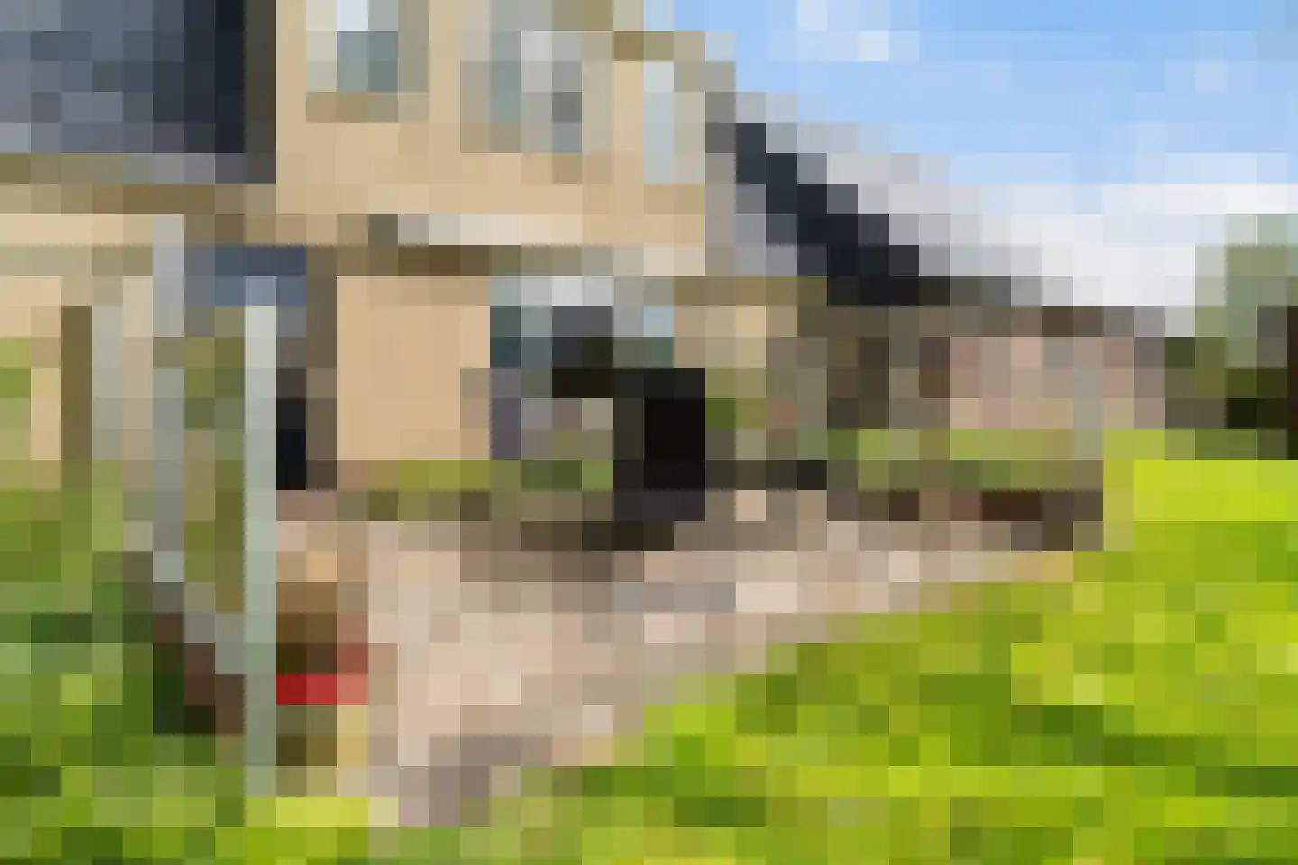 Headyk 39 Dronryp thumbnail 61