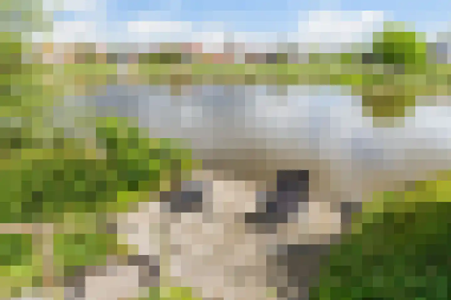 Headyk 39 Dronryp thumbnail 63