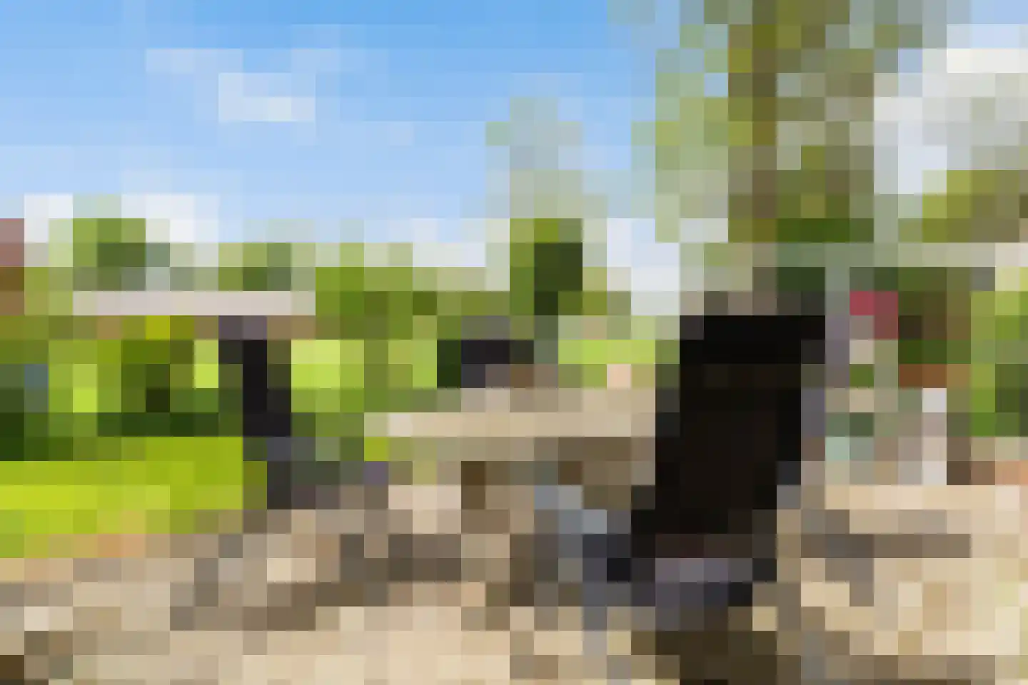 Headyk 39 Dronryp thumbnail 64