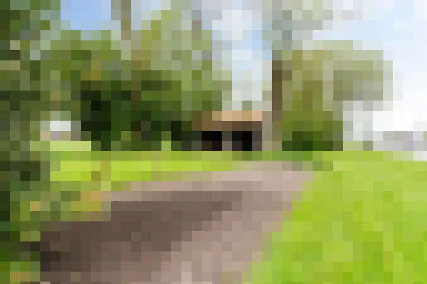 Headyk 39 Dronryp thumbnail 66