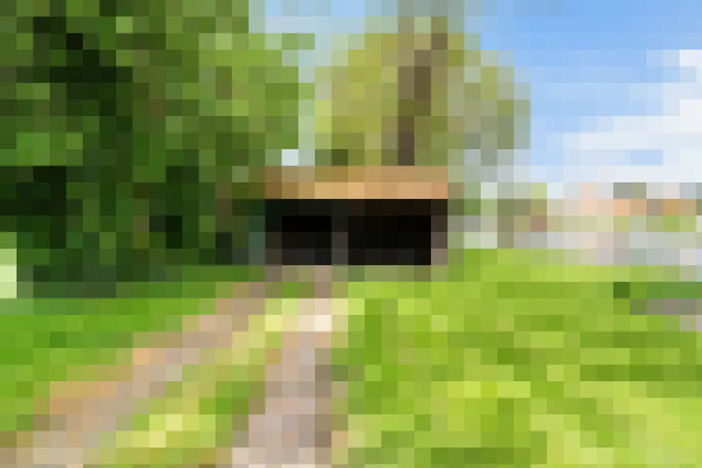 Headyk 39 Dronryp thumbnail 67