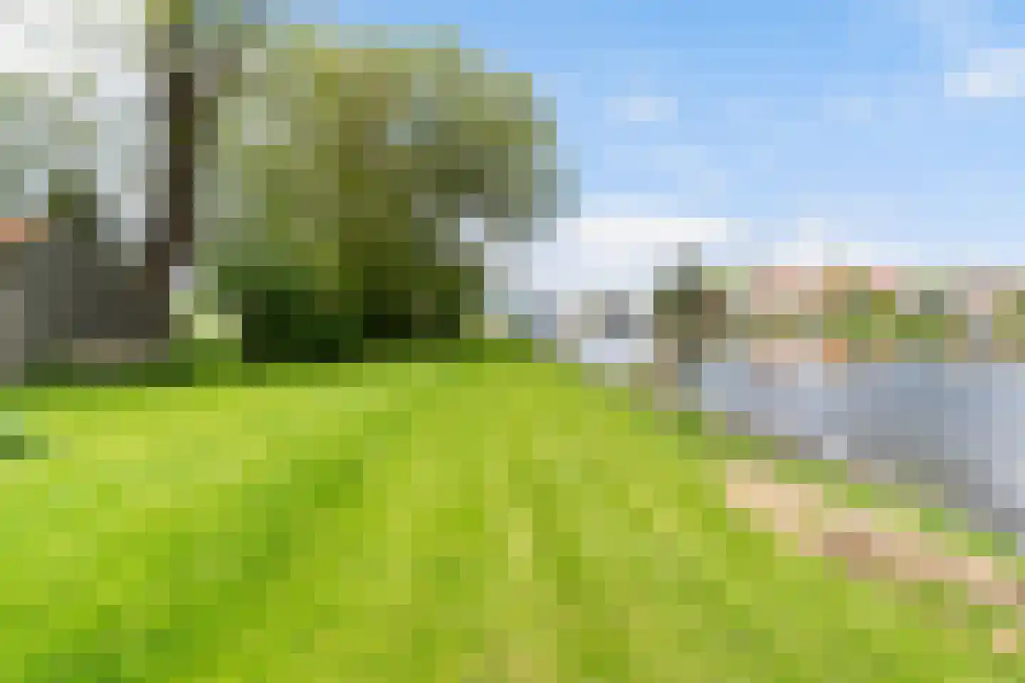 Headyk 39 Dronryp thumbnail 68