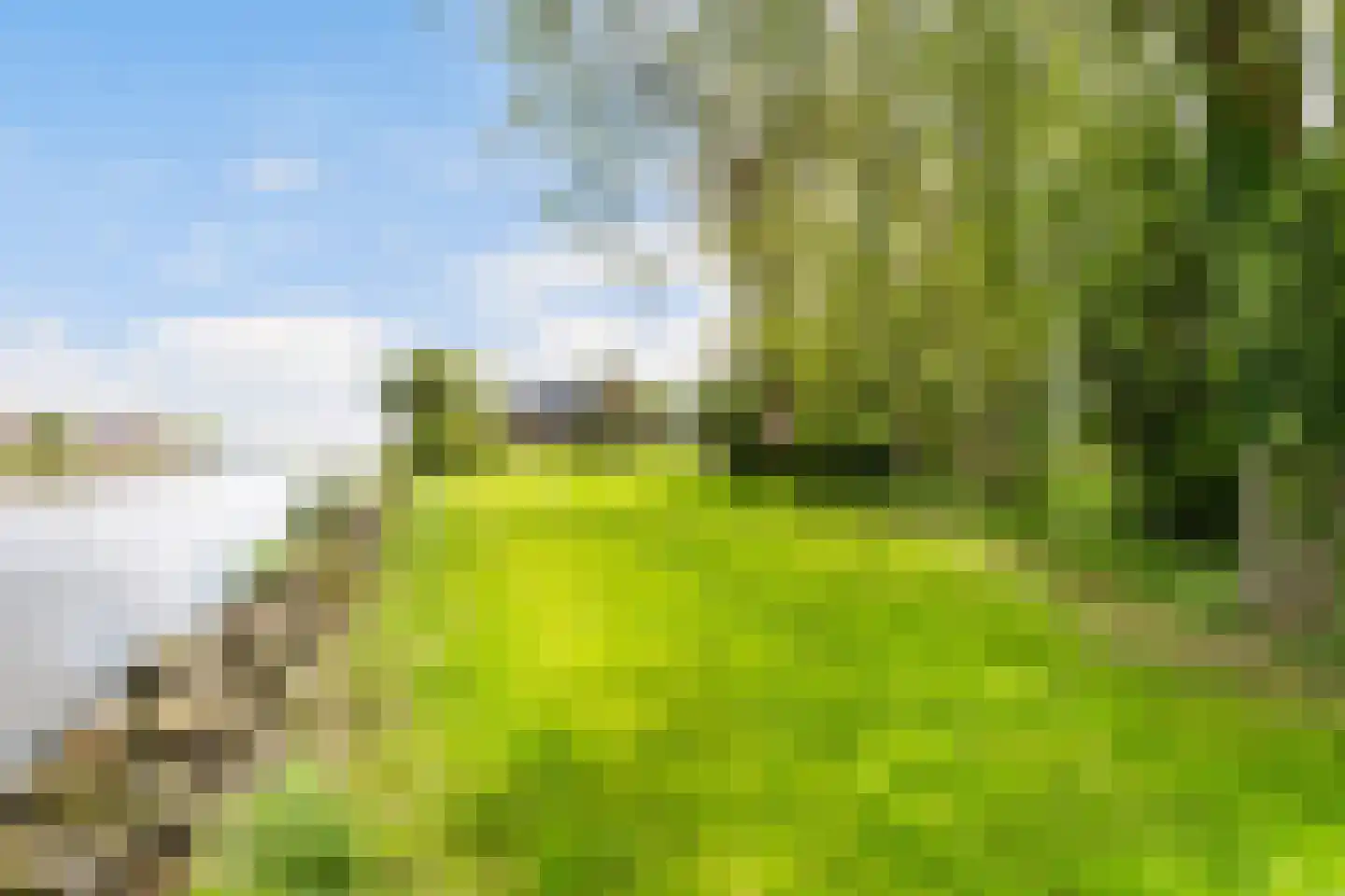 Headyk 39 Dronryp thumbnail 69