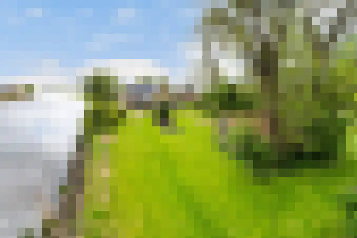 Headyk 39 Dronryp thumbnail 70