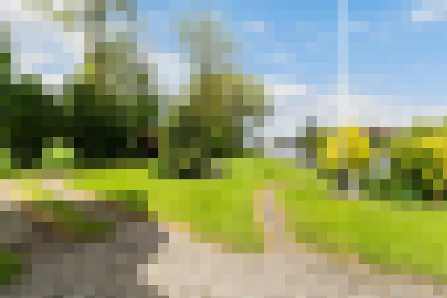 Headyk 39 Dronryp thumbnail 71