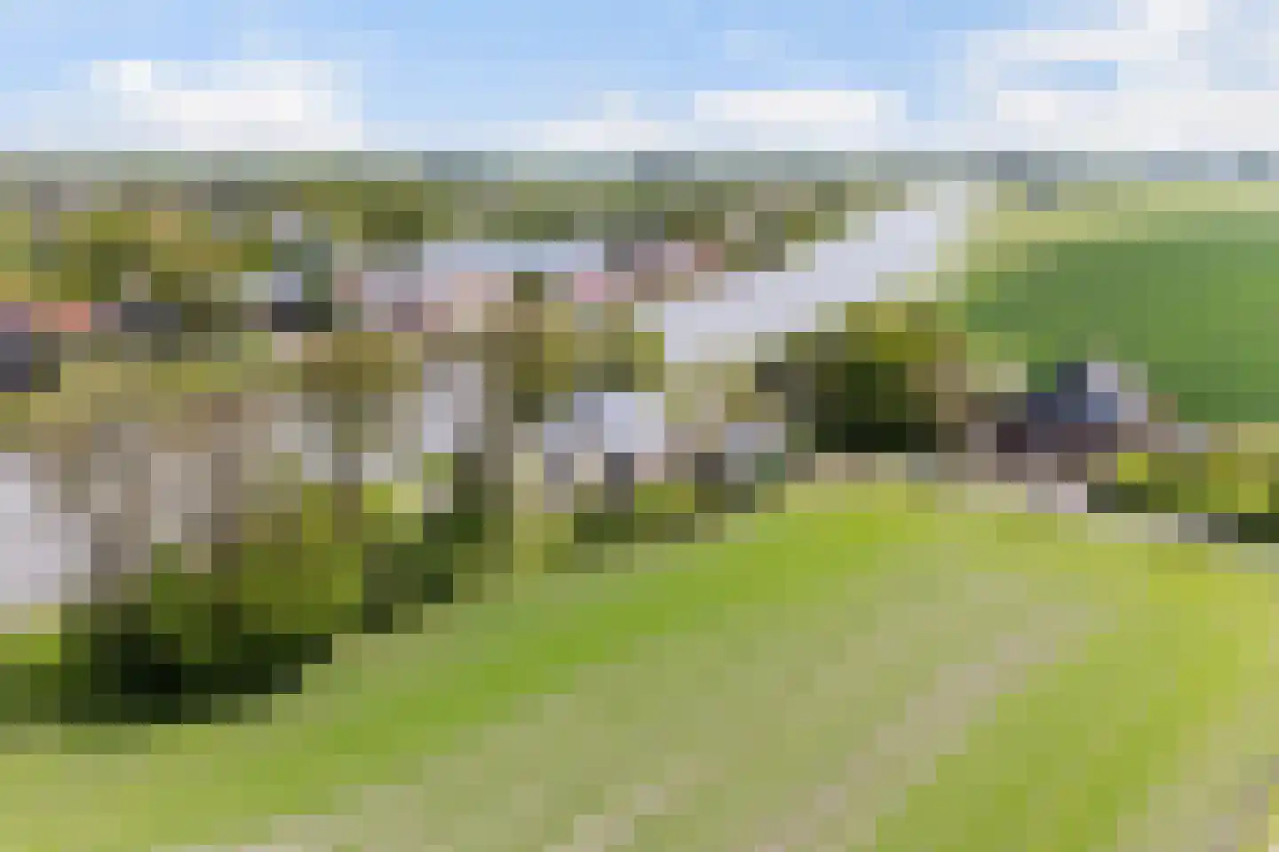 Headyk 39 Dronryp thumbnail 75