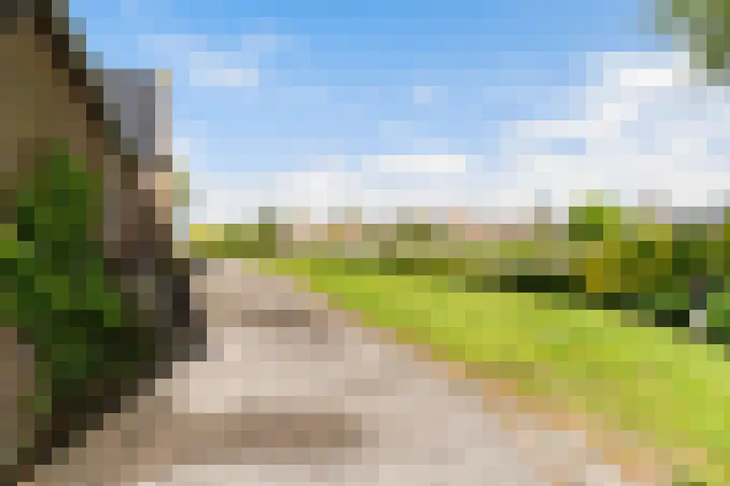 Headyk 39 Dronryp thumbnail 82
