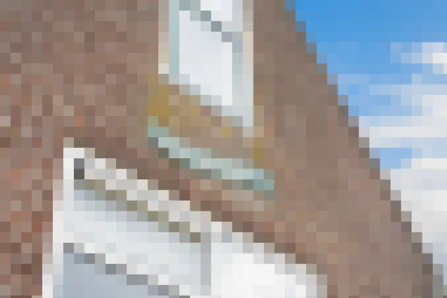 Headyk 39 Dronryp thumbnail 83