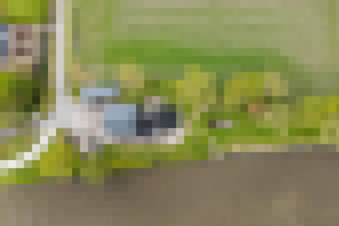 Headyk 39 Dronryp thumbnail 85