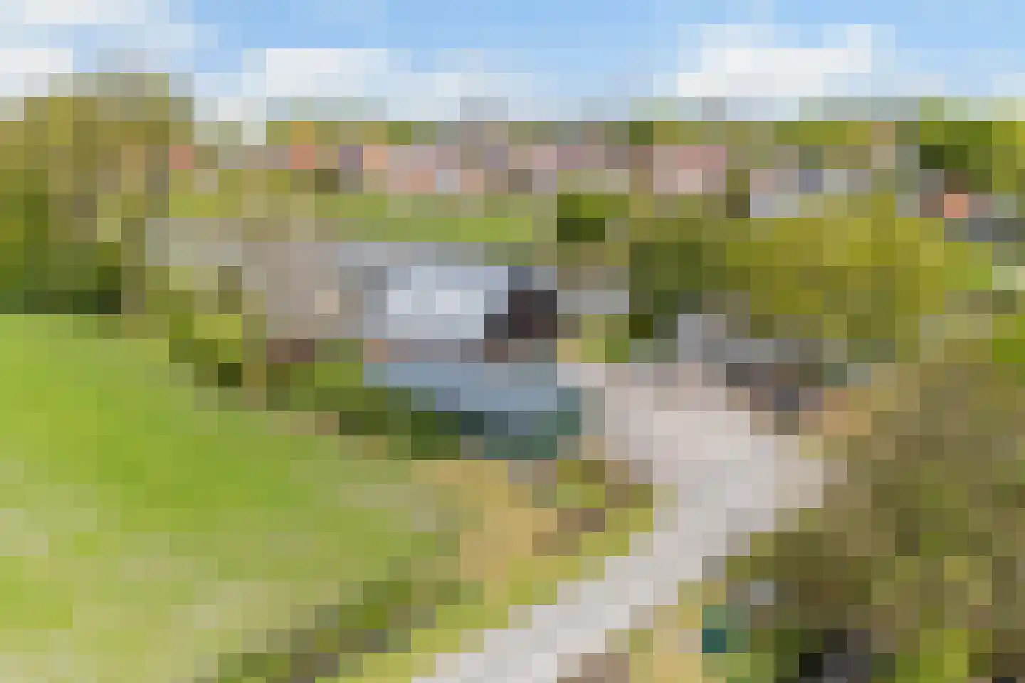 Headyk 39 Dronryp thumbnail 88