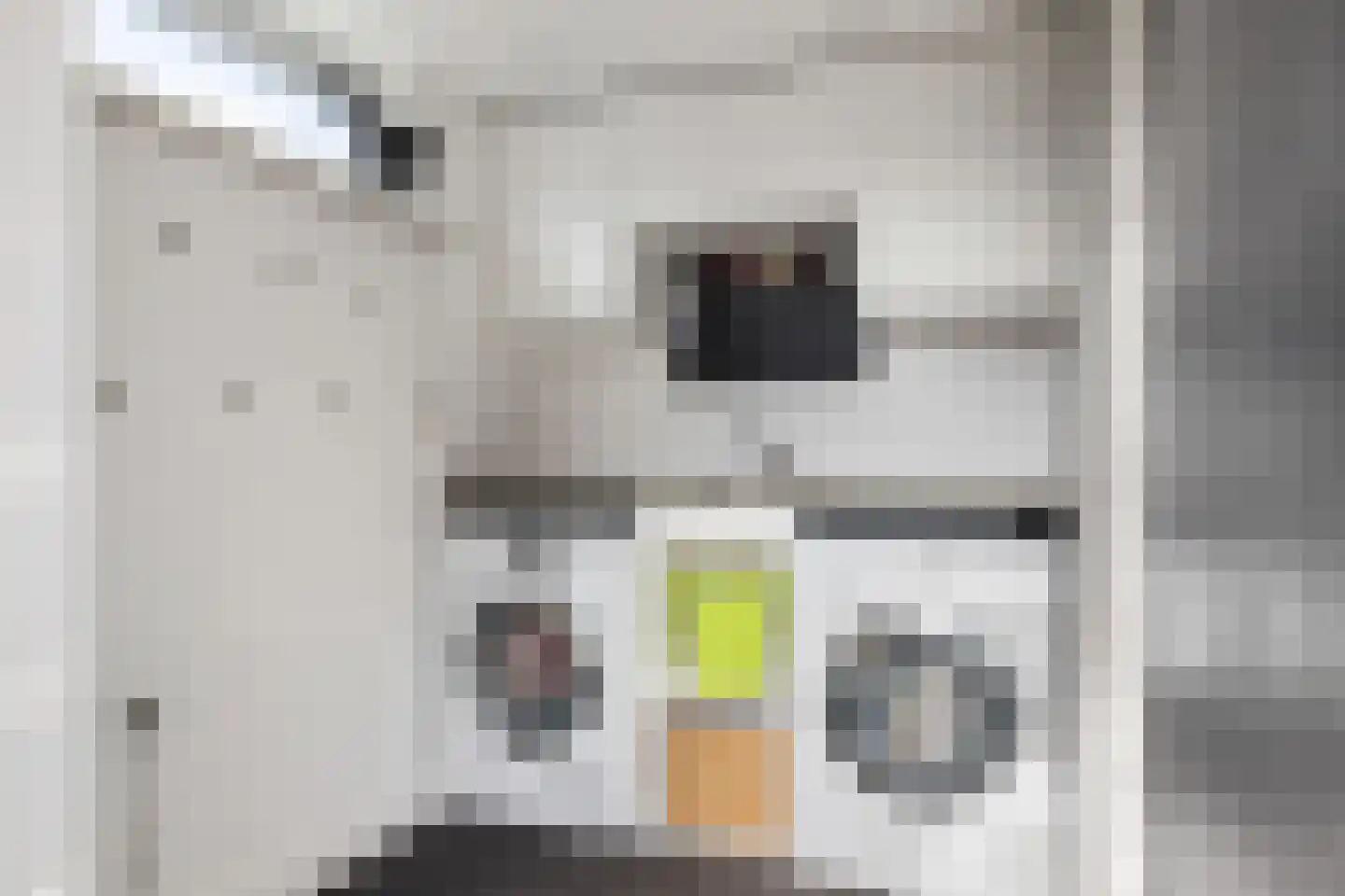 Healwei 15 Beetsterzwaag thumbnail 19