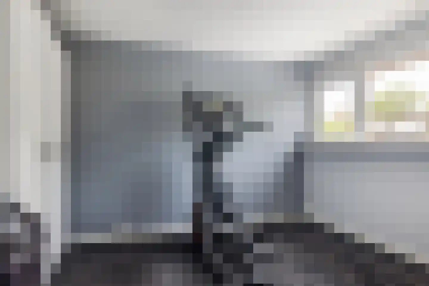 Healwei 15 Beetsterzwaag thumbnail 24