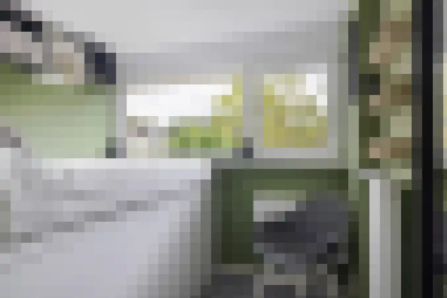Healwei 15 Beetsterzwaag thumbnail 26