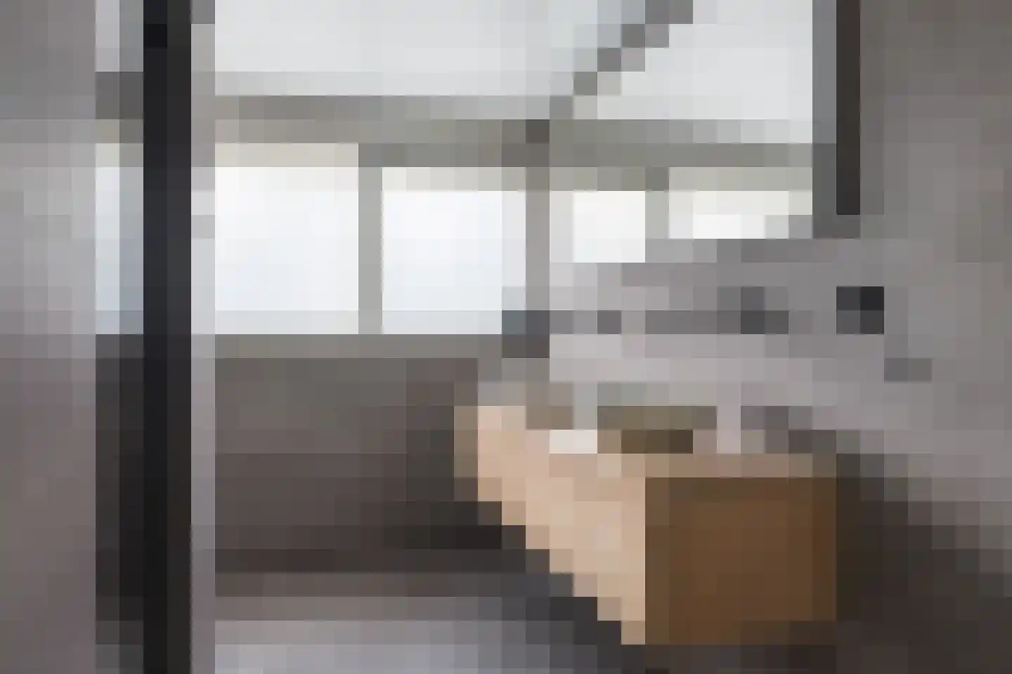 Healwei 15 Beetsterzwaag thumbnail 27