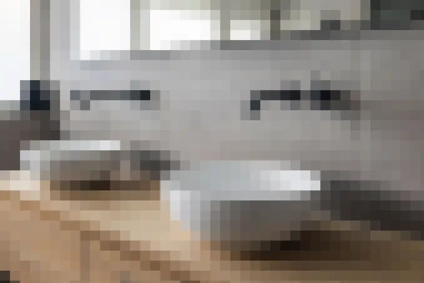 Healwei 15 Beetsterzwaag thumbnail 28