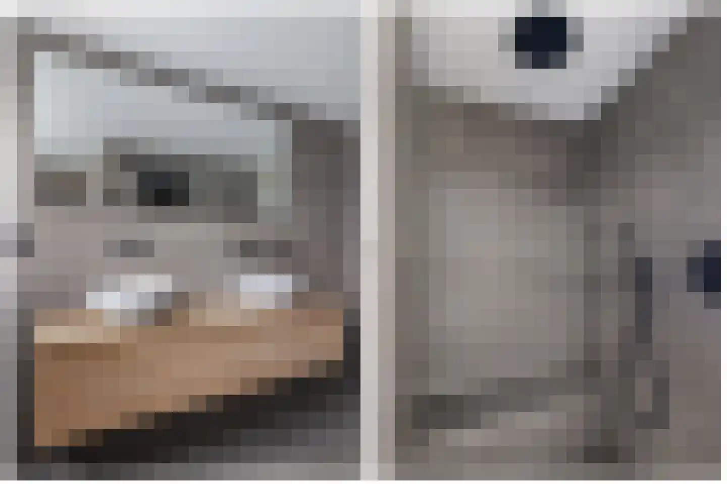 Healwei 15 Beetsterzwaag thumbnail 30
