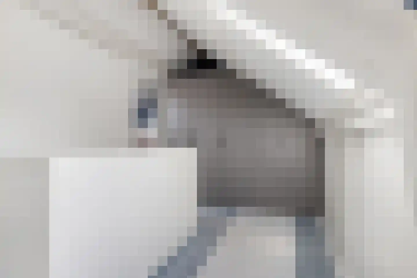 Healwei 15 Beetsterzwaag thumbnail 32