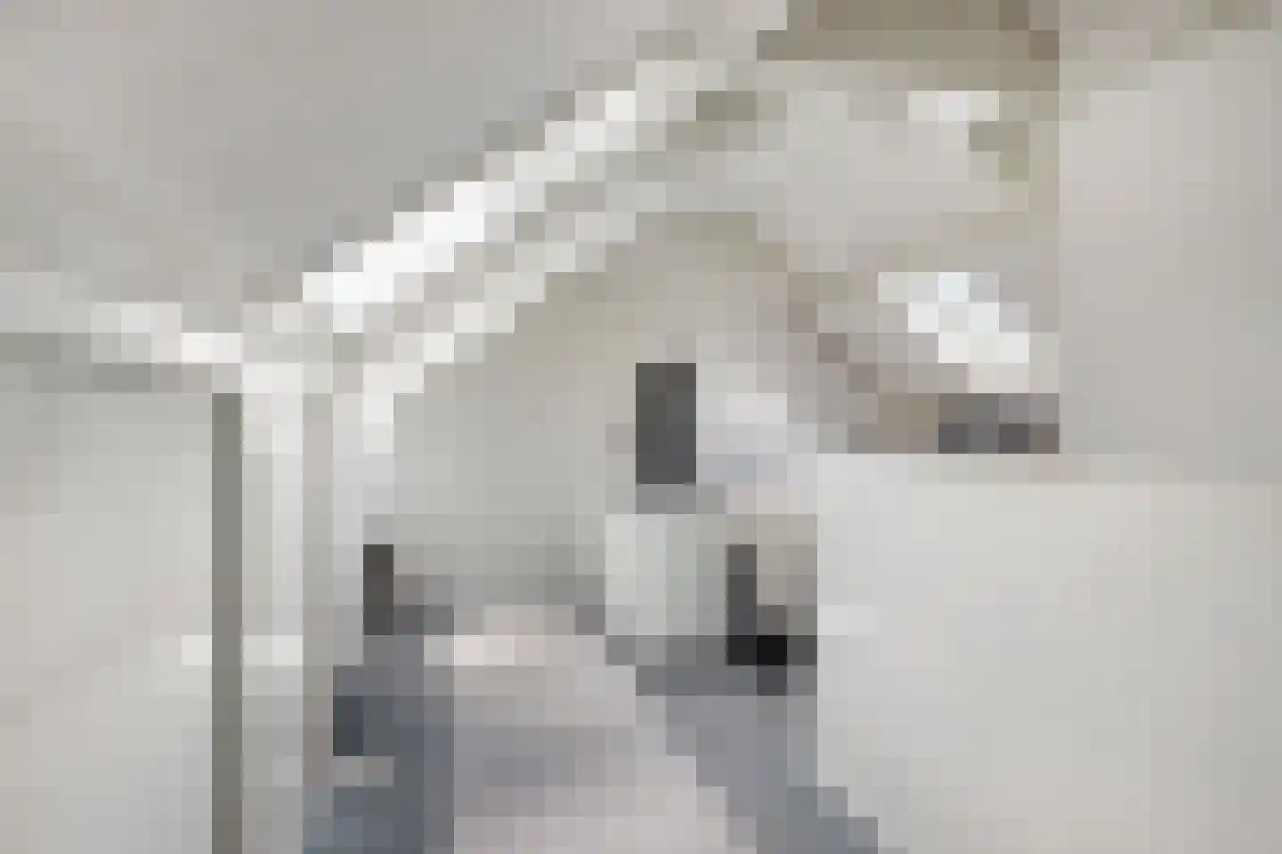 Healwei 15 Beetsterzwaag thumbnail 34