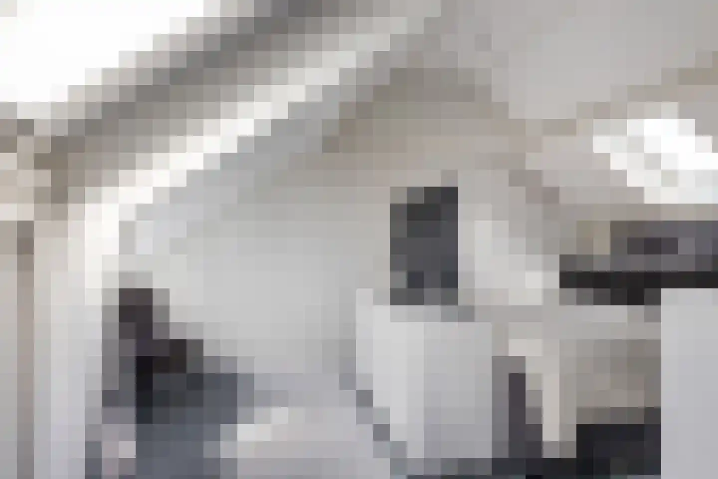 Healwei 15 Beetsterzwaag thumbnail 35