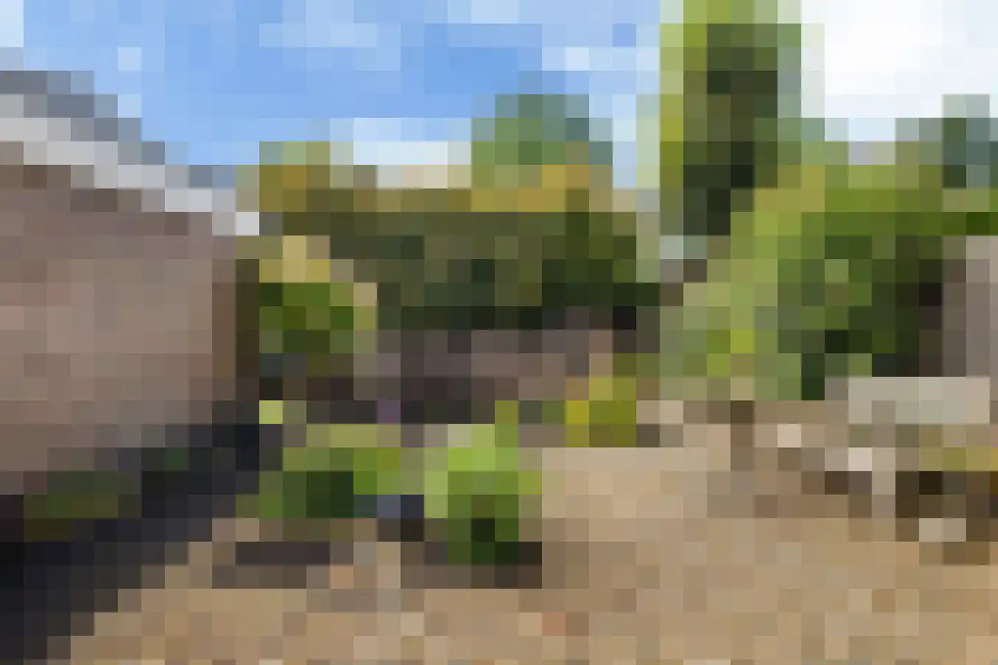 Healwei 15 Beetsterzwaag thumbnail 40