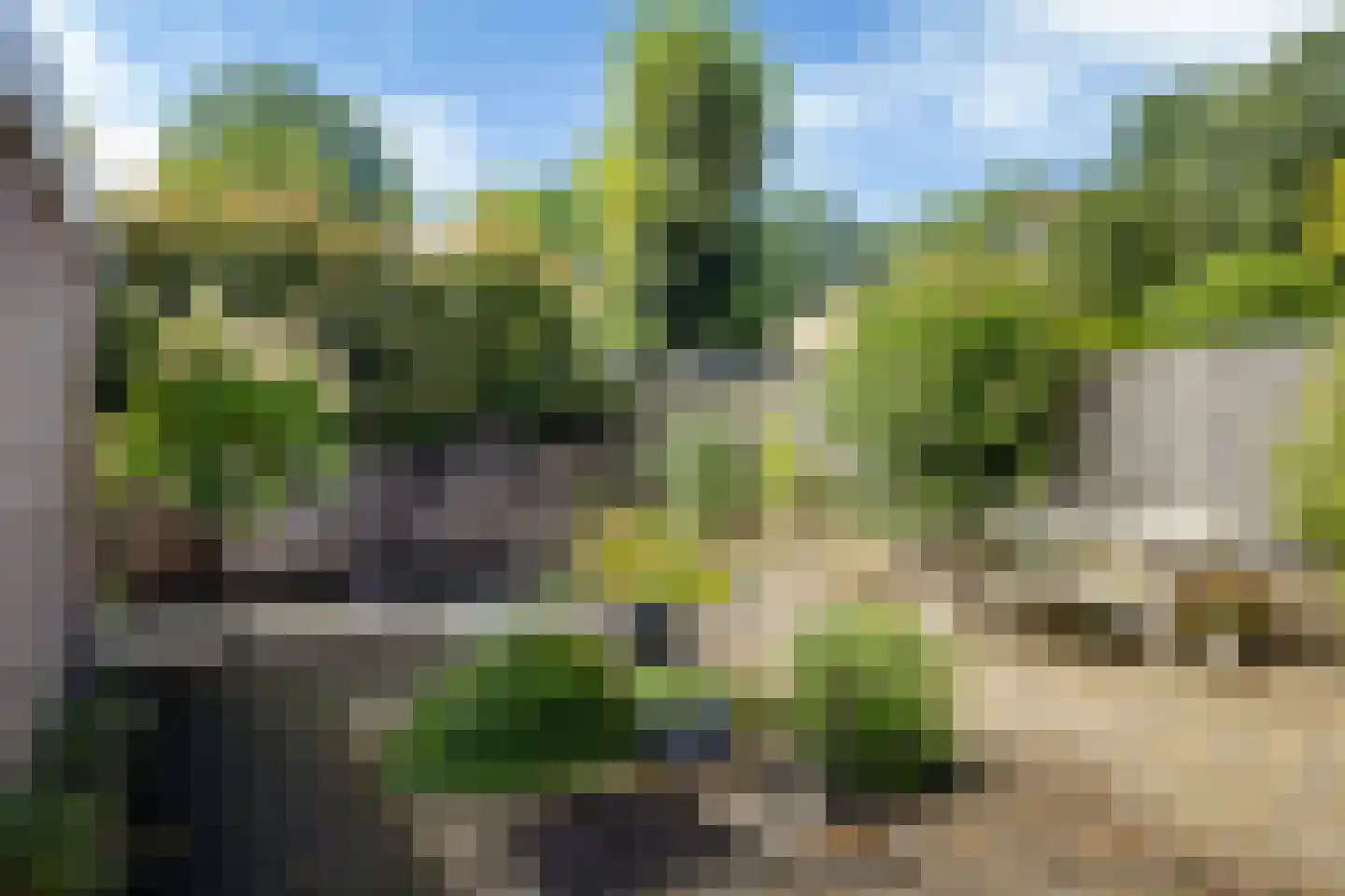 Healwei 15 Beetsterzwaag thumbnail 41