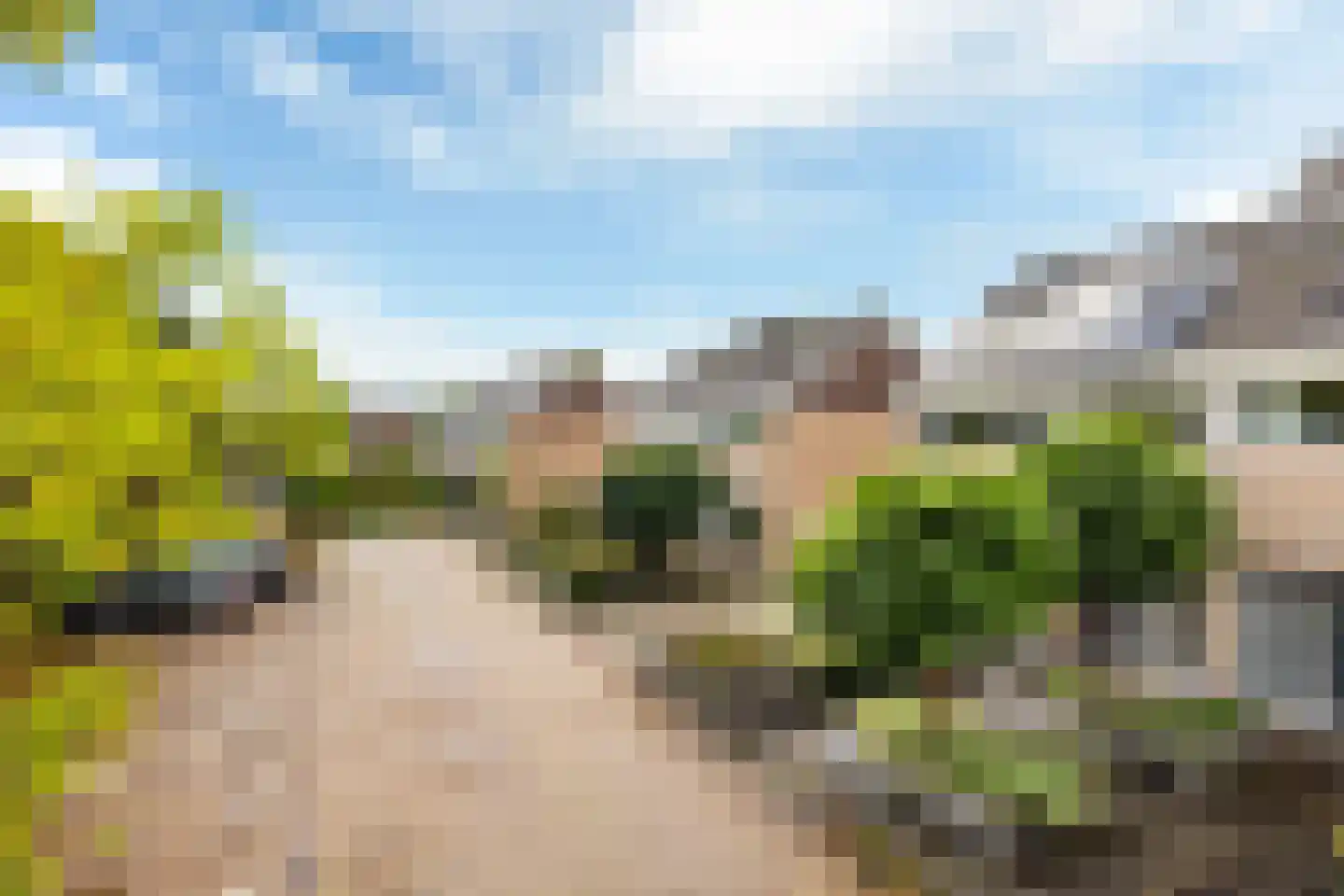 Healwei 15 Beetsterzwaag thumbnail 52
