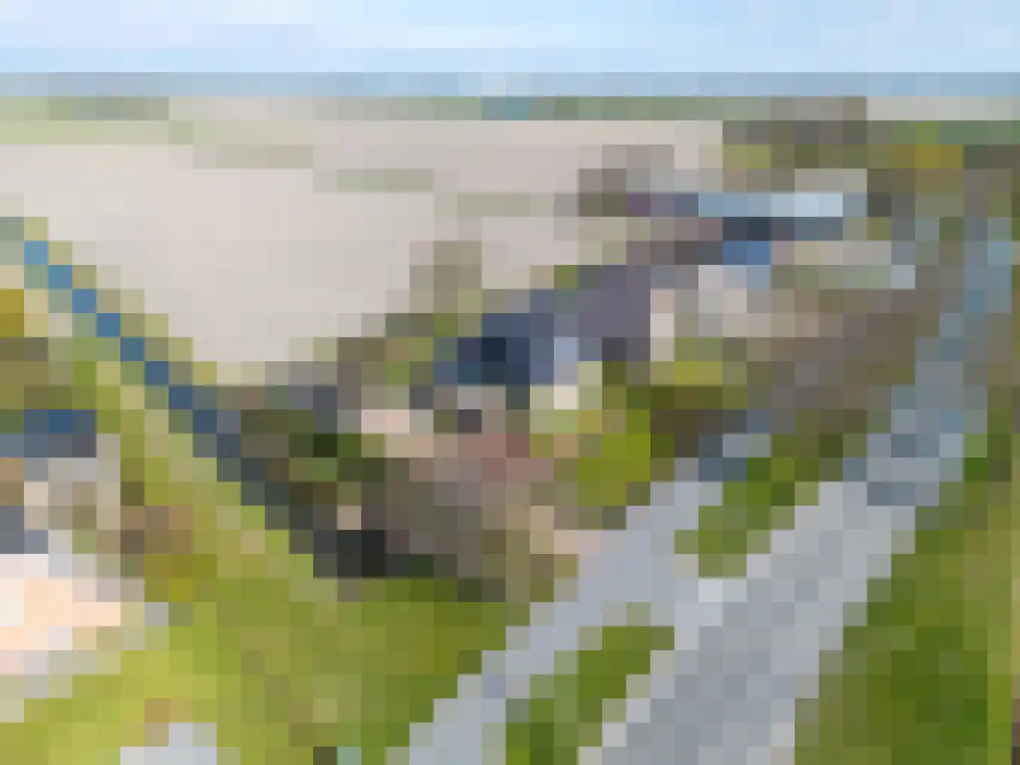 Hearewei 1 A Sexbierum thumbnail 10