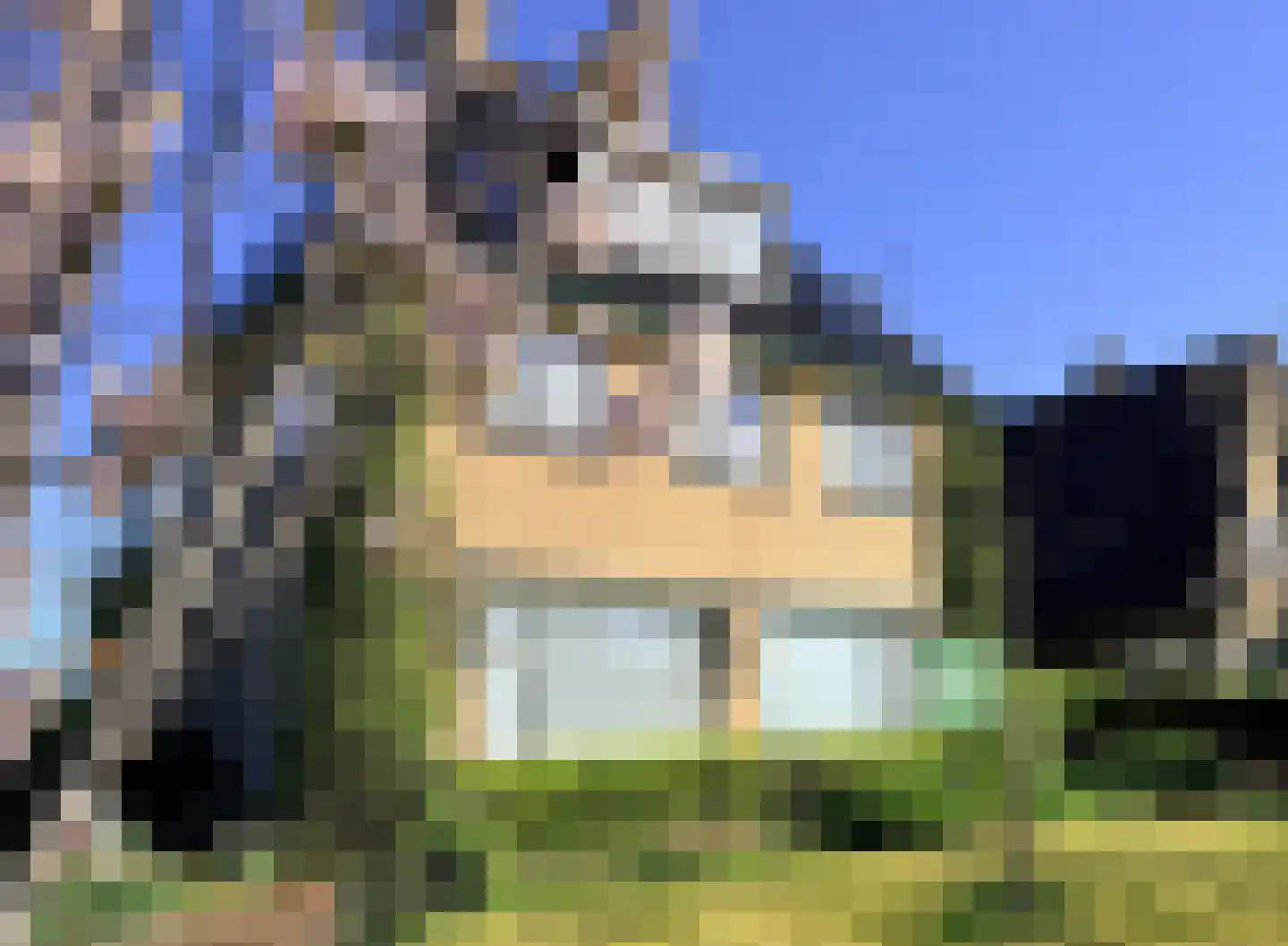 Hearewei 1 A Sexbierum thumbnail 14